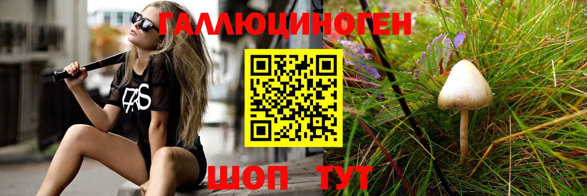 Галлюциногенные грибы MAGIC MUSHROOMS Дальнегорск