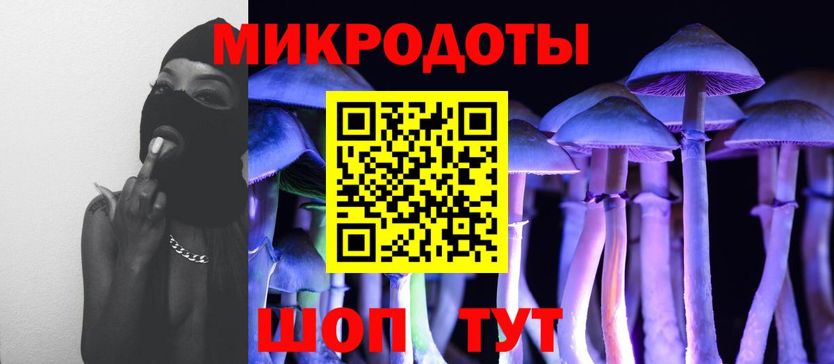 Дальнегорск  Галлюциногенные грибы MAGIC MUSHROOMS  Вход с VPN 