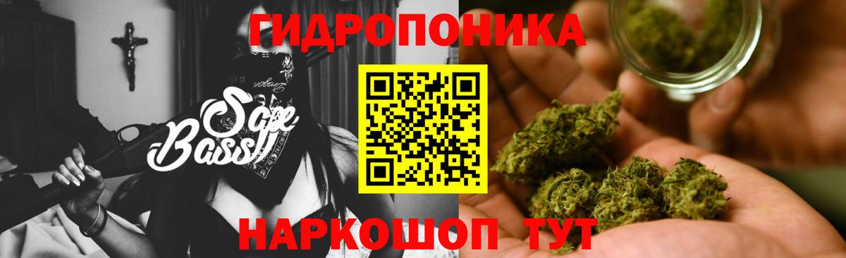 Канабис сатива  Канабис планчик  Конопля планчик  Дальнегорск  Вход с VPN 
